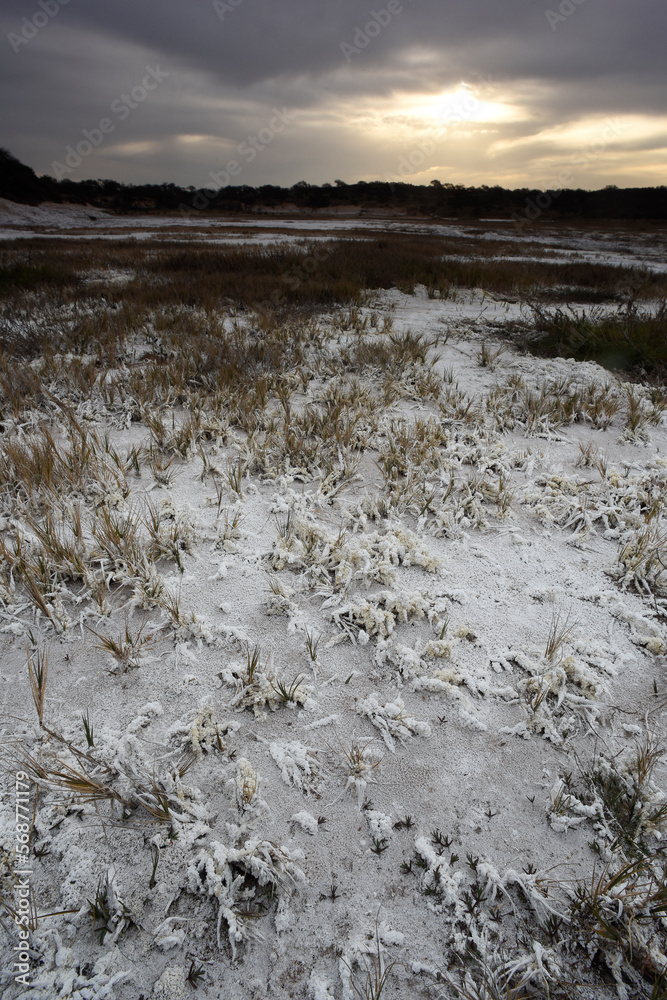 Saltpeter on the floor of a lagoon in a semi desert environment, La Pampa province, Patagonia, Argentina. Saltpeter on the floor of a lagoon in a semi desert environment, La Pampa province, Patagonia, Argentina.