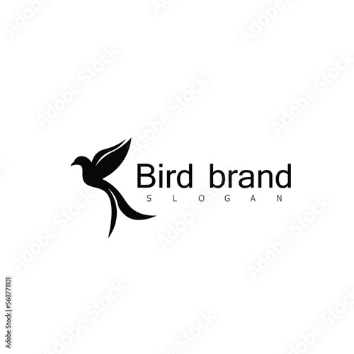 bird eagle animal vector logo design symbol
