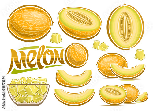 Vector Melon Set, poster with lot collection of cut out illustrations fruit still life composition, ripe chopped melon fruit with grains in glass dish, many different tropical fruits and text melon