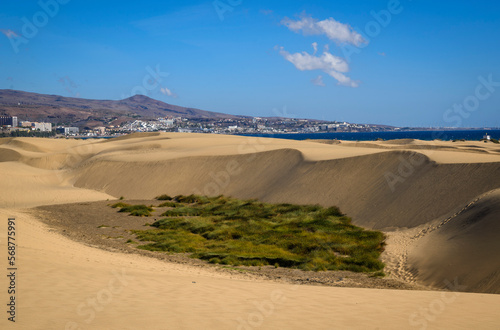 View of Maspalomas dunes and El Ingles beach on the background, Grand Canary, Canary Islands, Spain