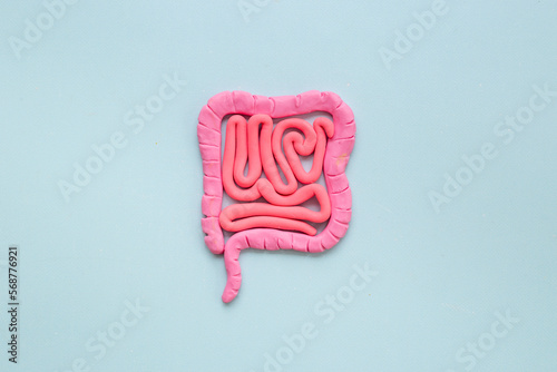 Intestines colon organ stomach shape of plasticine. Digestive tract problems colitis or colon cancer photo