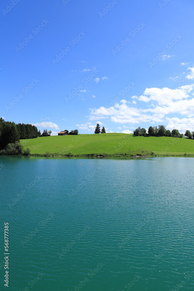 the view of Forggensee in summer