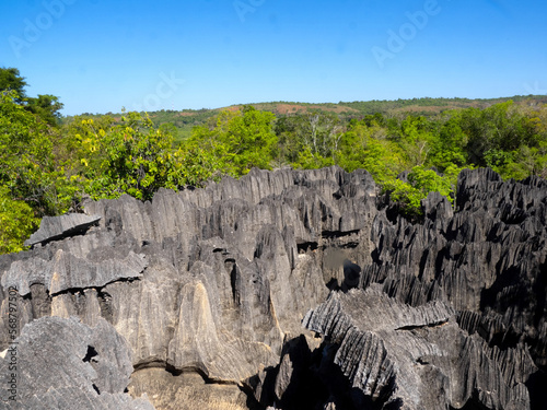 The sharp gray rocks of Tsinga Bemaraha, a UNESCO World Heritage Site above, are then green. Madagascar photo