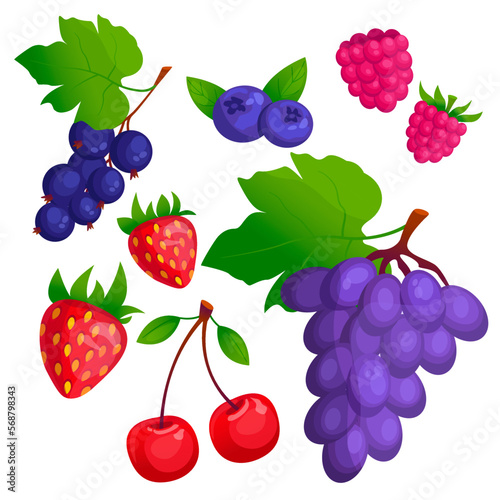 Set of beautiful vector cartoon berries: strawberries, blueberries, grapes, raspberries, black currants, cherries. Isolated on a white background.