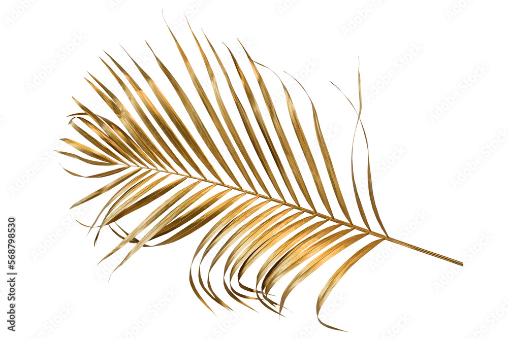 Golden palm leaf PNG on transparent background Abstract monstera leaf ...