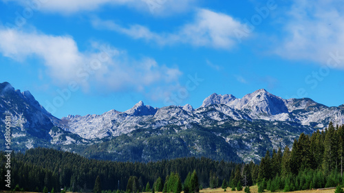 Beautiful panoramic landscape of mountain peaks on a sunny summer day. Blue sky, green fir trees.
