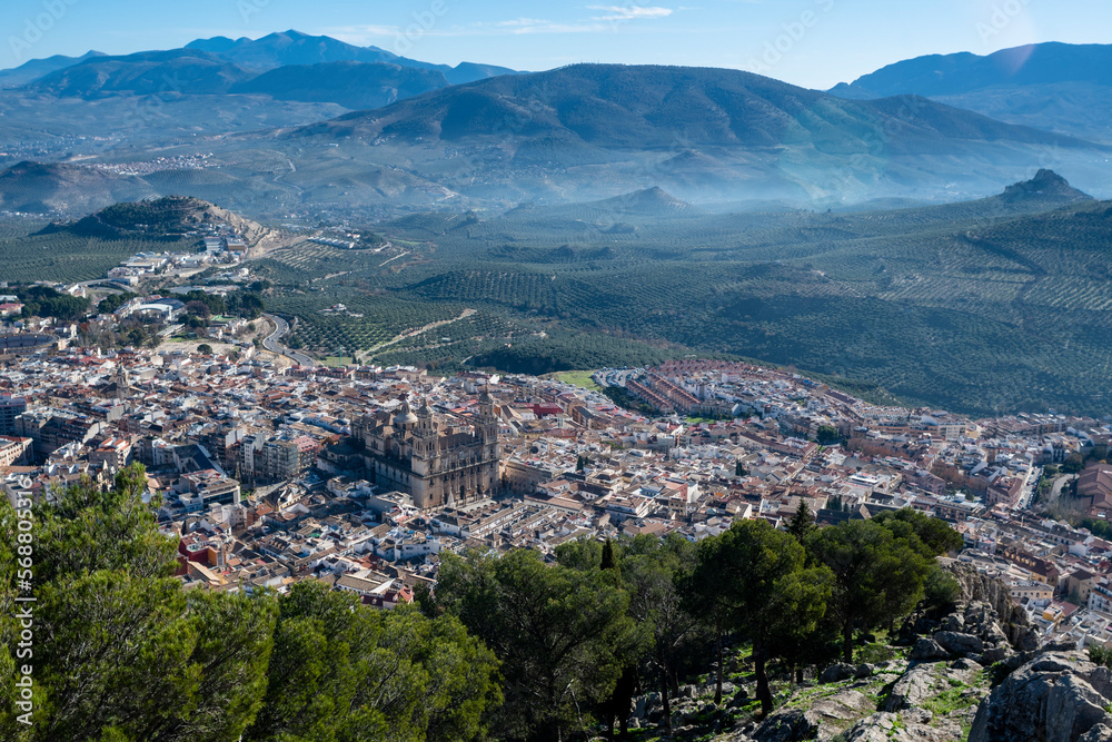 Aerial view of the Cathedral of Jaén predominating in the city, and a field of olive trees in the background