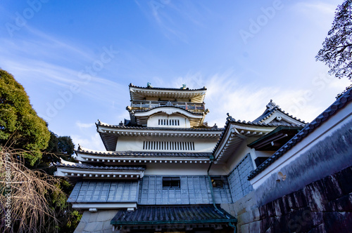 Old Japan castle