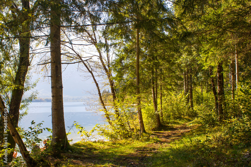Obraz premium View of Bohinj lake, Slovenia