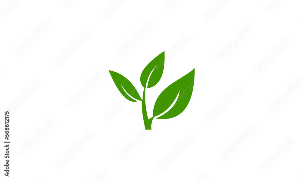 green plant