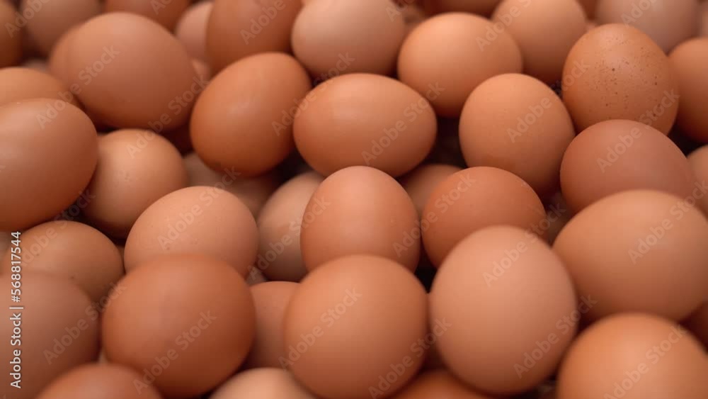 Chicken egg, rotation shot, Chicken fresh raw eggs. Many fresh raw chicken egg Chicken egg, rotation shot, Chicken fresh raw eggs. Many fresh raw chicken egg