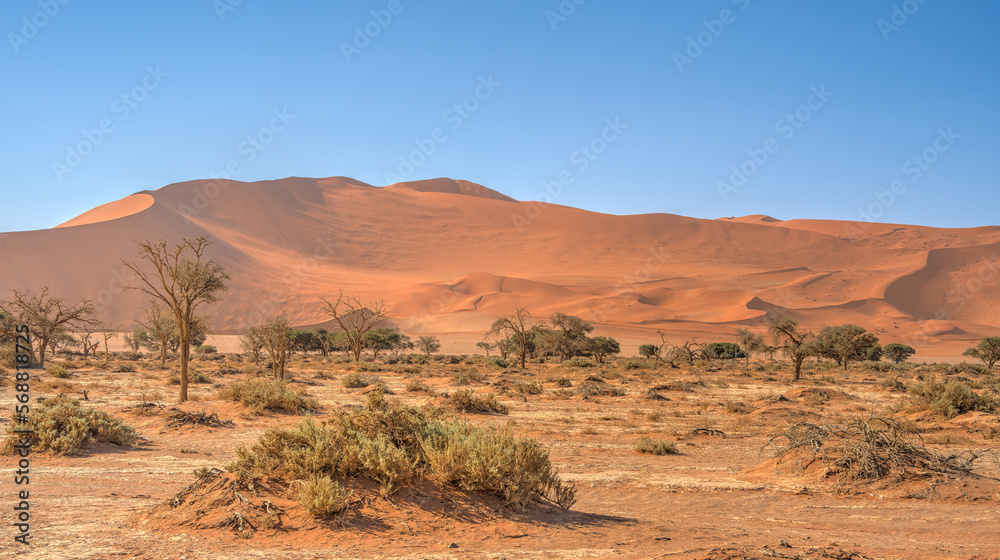 Namib Desert Dunes around Sossusvlei, HDR Image