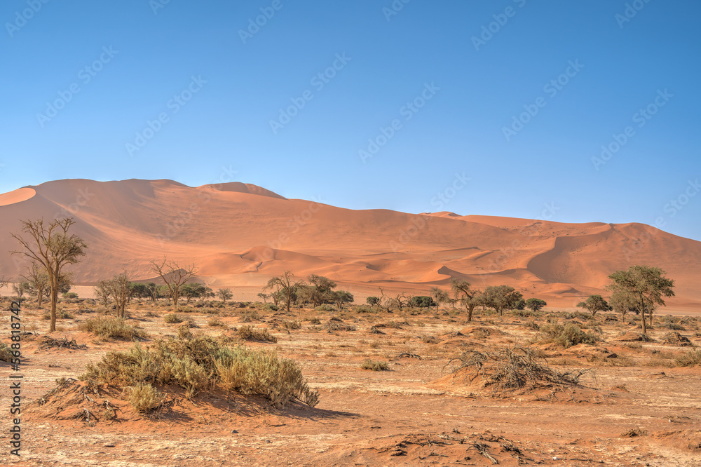 Namib Desert Dunes around Sossusvlei, HDR Image Namib Desert Dunes around Sossusvlei, HDR Image