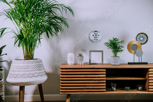 Scandinavian home interior with decorative accessories standing on a wooden cabinet. Minimalist design in interior of room with green plants and white wall with copy space. Biophilia style