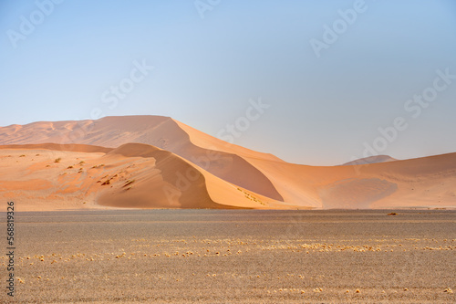 Namib Desert Dunes around Sossusvlei  HDR Image