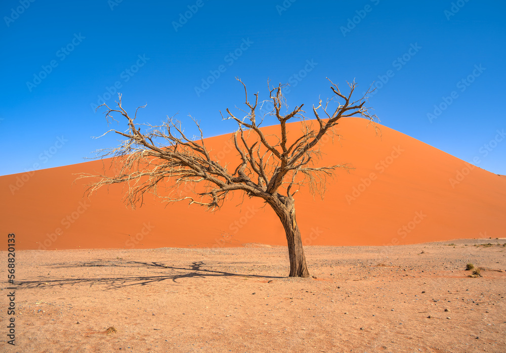 Namib Desert Dunes around Sossusvlei, HDR Image Namib Desert Dunes around Sossusvlei, HDR Image