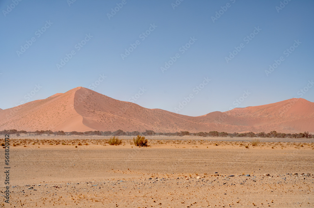 Namib Desert Dunes around Sossusvlei, HDR Image