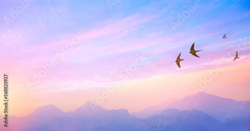 abstract beautiful peaceful spring morning sky background; sunrise new day and flying flock of birds