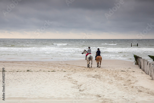 two horse riders on sea beach