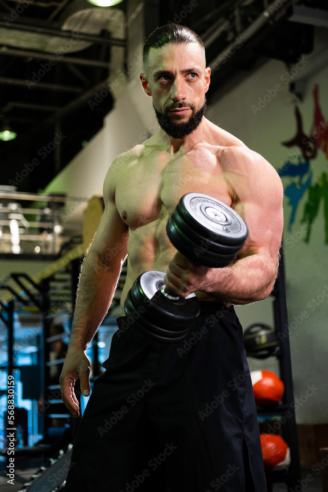 A brutal muscular bearded man with abs holds a dumbbell in the gym. Active lifestyle, sports A brutal muscular bearded man with abs holds a dumbbell in the gym. Active lifestyle, sports