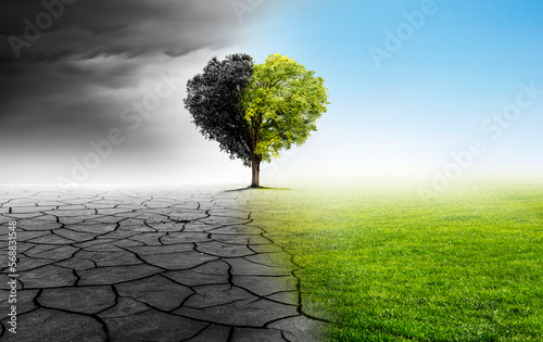 Baum in Herzform als Beispiel für den Klimawandel zu intakter Umwelt