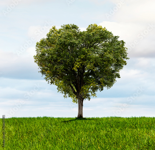 Grüner Baum in Herzform auf einer grüner Wiese