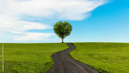 Grüner Baum in Herzform auf einer grüner Wiese mit Weg