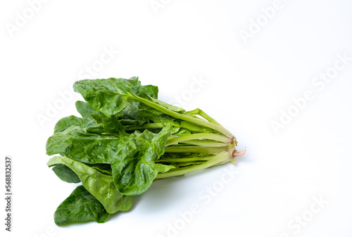 Spinach leaves on a white isolated background. Young fresh spinach leaves.