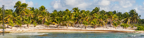 Costa Maya im S  den der Yucatan-Halbinsel in Mexiko. Blick von der Pier aus auf die K  ste mit Palmen in Mahahual  Panorama.