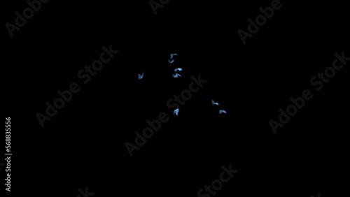 Soaring butterflies with an alpha channel