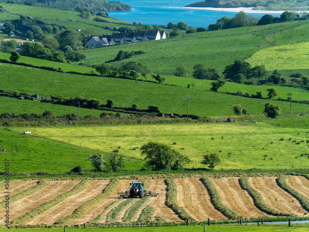 Tractor in the field. Picturesque agrarian landscape of Ireland. harvesting hay for animal feed. Farm. Green grass field