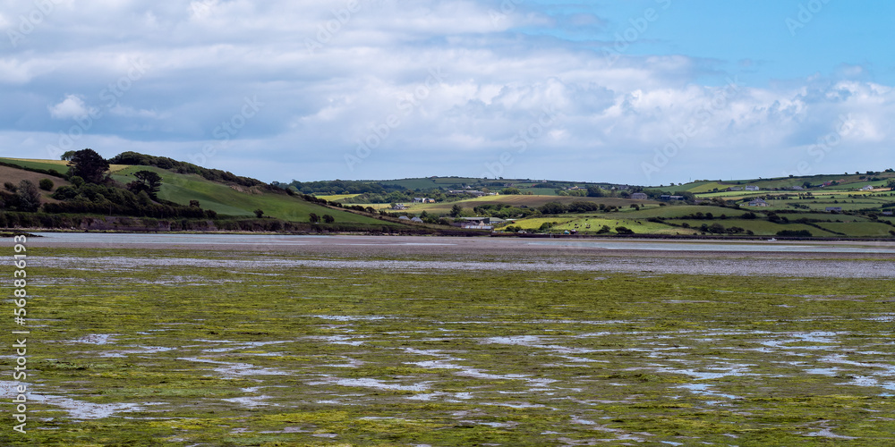 Open seabed after low tide, swamp area. Green hill. White clouds in a sky. Irish landscape. The coast of Clonakilty Bay.