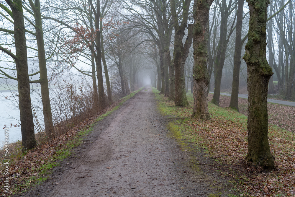 road in the woods