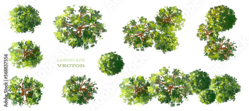 Vector watercolor of green tree top view isolated on white background for landscape layout plan and architecture drawing, elements for environment and garden,blooming botanical elements 