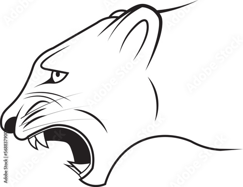 The profile of the head of an enraged puma ready to attack