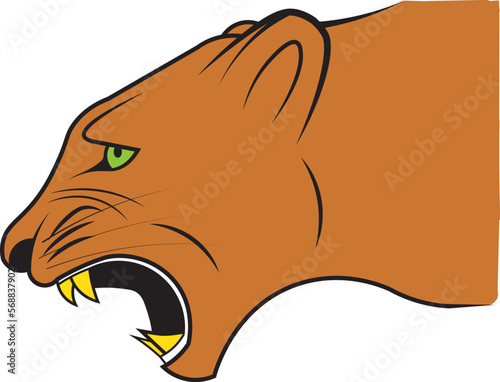 The profile of the head of an enraged puma ready to attack