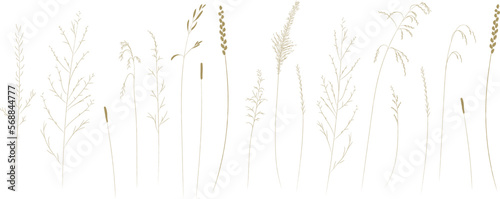 Field and meadow herbs, brown outline, trend sketch for eco design. Sketch of medicinal plants, vector drawing for packaging or textile.