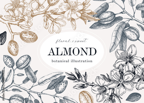 Almond blossom frame design in engraved style. Flowering branches with nuts, flowers, leaves background. Vintage floral drawing. Botanical vector illustration of spring nut tree for banners, prints