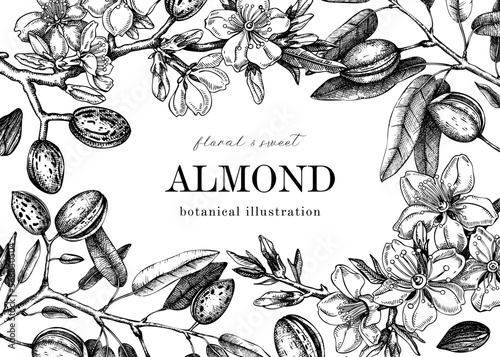 Almond blossom frame design in engraved style. Flowering branches with nuts, flowers, leaves. Floral drawings isolated on white background. Botanical vector illustration of spring nut trees