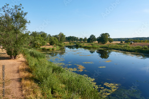 Alte Elbe bei Plötzky