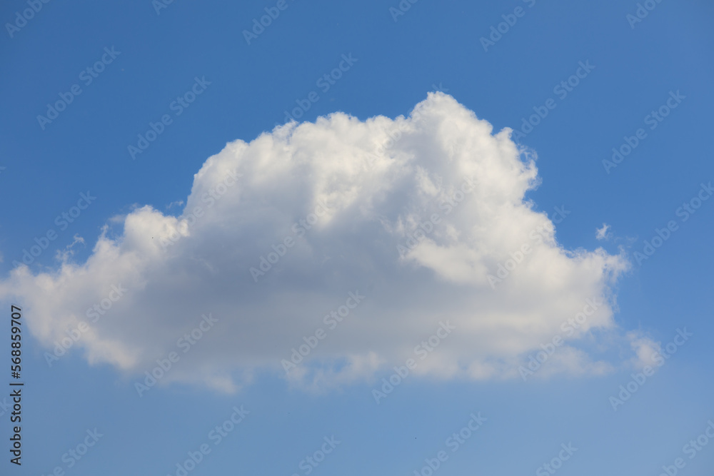 Cumulus clouds on a sunny summer day Cumulus clouds on a sunny summer day