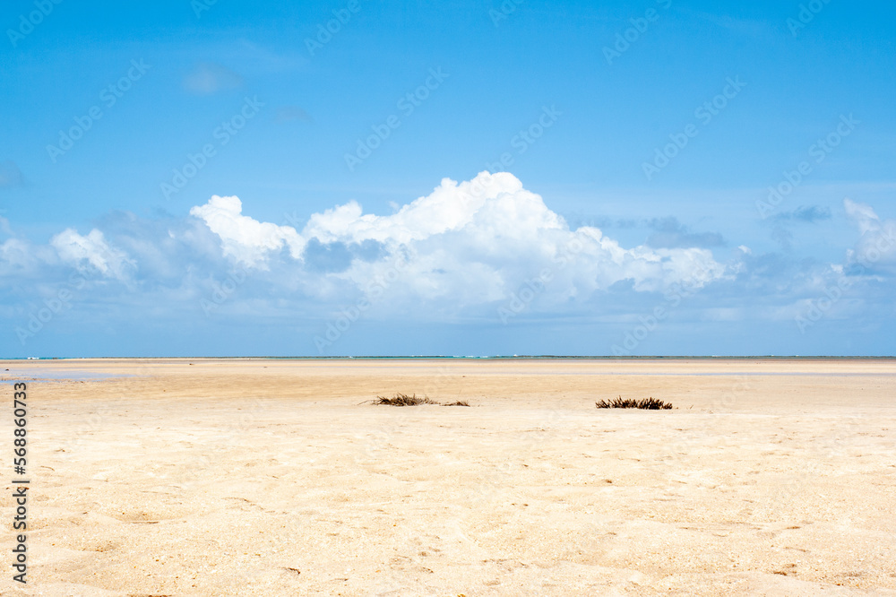 Pontal beach, São Miguel Dos Milagres, Alagoas state, during low tide.