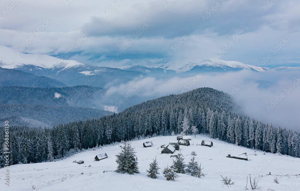 Ukrainian Carpathians in the winter in cloudy weather. Winter landscape