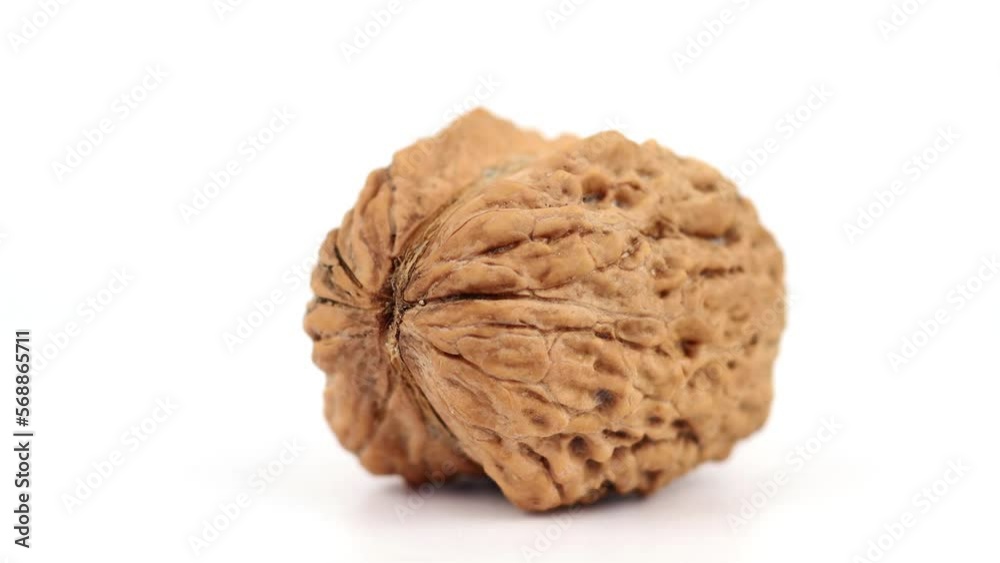 Walnut in the shell close-up Walnut in the shell close-up