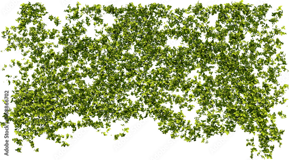 leaves climbing plant wall decoration hq arch viz cutout leaves climbing plant wall decoration hq arch viz cutout