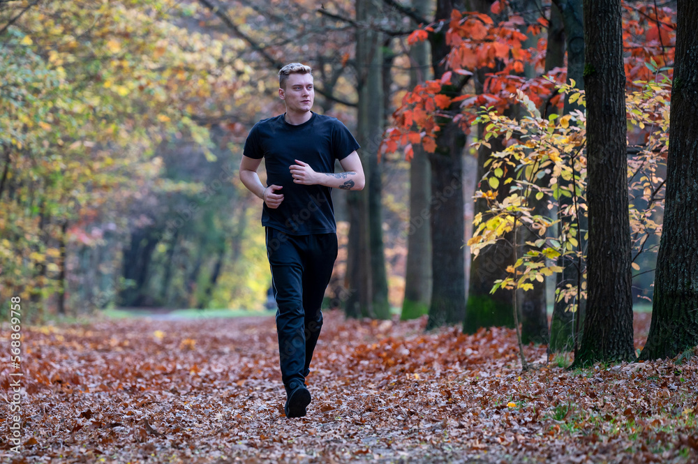 Runner in autumn park.	