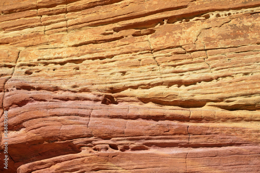 Fototapeta premium Yellow red cliff - Valley of Fire State Park, Nevada