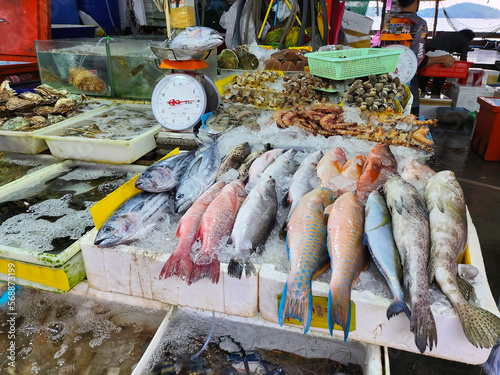 A lot of fresh fish and seafood on the counter with ice at the fish market in Thailand on the island of Phuket