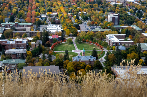 View of UM from Mount Sentinel in Missoula, Montana photo