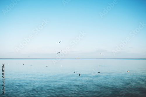 Beautiful background with sea and seagulls in Odessa, Ukraine.